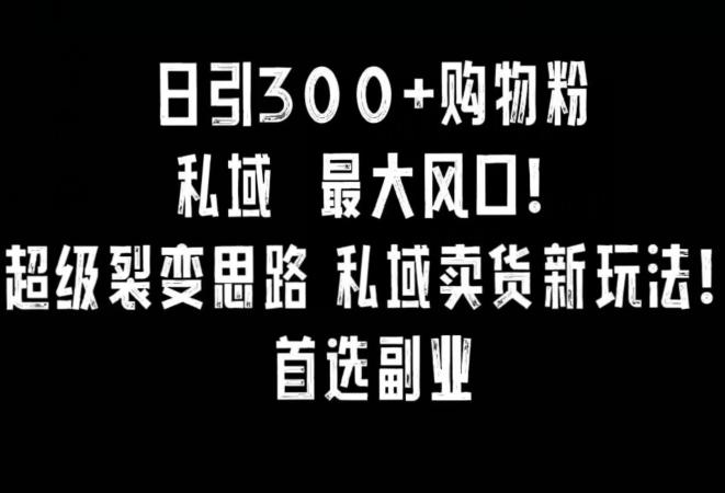 日引300+购物粉，超级裂变思路，私域卖货新玩法，小红书首选副业【揭秘】-知芽创业社