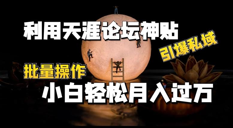 利用天涯论坛神贴，引爆私域，批量操作，小白轻松月入过w【揭秘】-知芽创业社