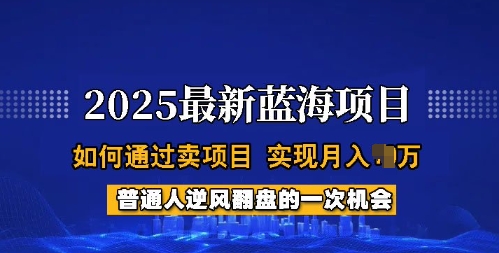 2025蓝海项目，普通人如何通过卖项目，实现月入过W，全过程【揭秘】-知芽创业社