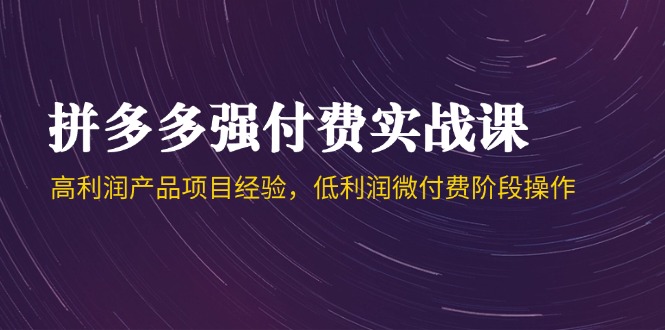 拼多多强付费实战课-44期，高利润产品项目经验，低利润微付费阶段操作-知芽创业社