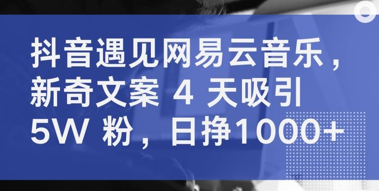 抖音遇见网易云音乐，新奇文案 4 天吸引 5W 粉，日挣1000+【揭秘】-知芽创业社