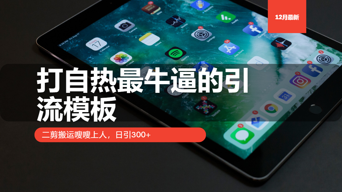 打自热最牛逼的引流模板，二剪搬运嗖嗖上人，日引300+-知芽创业社