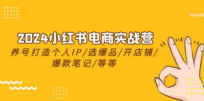 2024小红书电商实战营，养号打造IP/选爆品/开店铺/爆款笔记/等等(24节)-知芽创业社