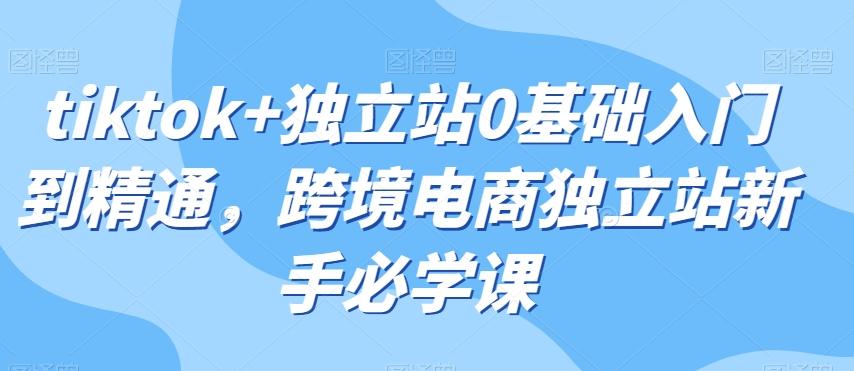 tiktok+独立站0基础入门到精通，跨境电商独立站新手必学课-知芽创业社