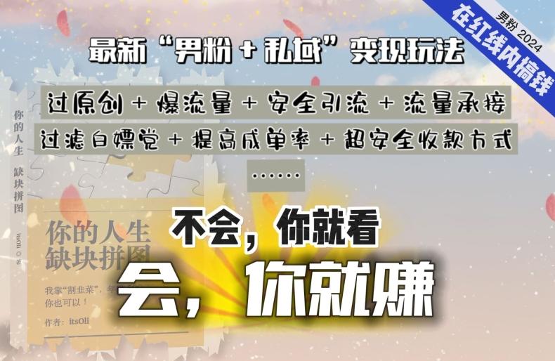 2024，“男粉+私域”还是最耐造、最赚、最轻松、最愉快的变现方式【揭秘】-知芽创业社