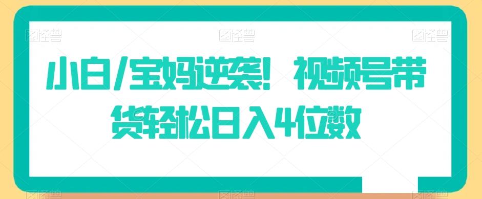 小白/宝妈逆袭！视频号带货轻松日入4位数【揭秘】-知芽创业社
