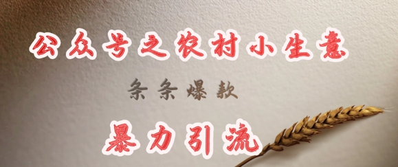 deepseek写农村小项目，条条爆款，暴力引流-知芽创业社
