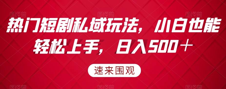 热门短剧私域玩法，小白也能轻松上手，日入500＋-知芽创业社