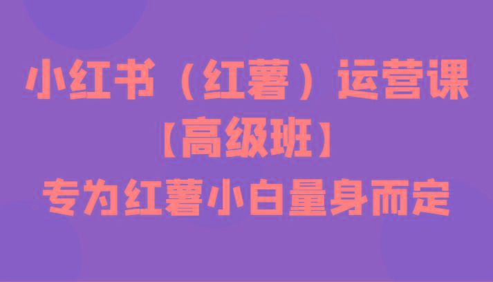 小红书(红薯)运营课【高级班】，专为红薯小白量身而定(42节课)-知芽创业社