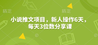 小说推文项目，新人操作6天，每天3位数分享课-知芽创业社