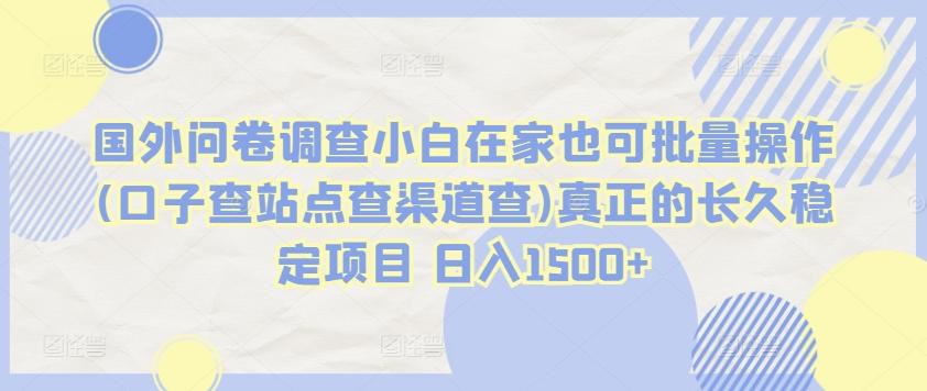 国外问卷调查小白在家也可批量操作(口子查站点查渠道查)真正的长久稳定项目 日入1500+【揭秘】-知芽创业社