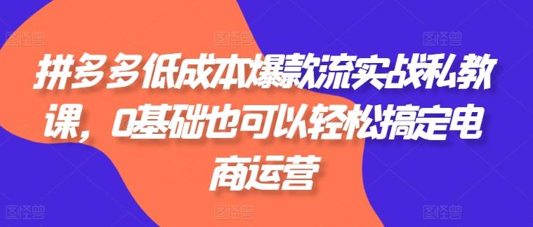 拼多多低成本爆款流实战私教课，0基础也可以轻松搞定电商运营-知芽创业社