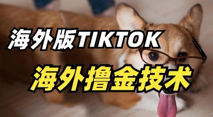 抖音海外版tiktok撸金技术，这个风口行业，赚钱真的不难【揭秘】-知芽创业社