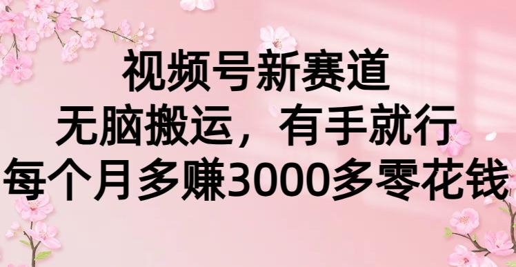 (9278期)视频号新赛道，无脑搬运，有手就行，每个月多赚3000多零花钱-知芽创业社