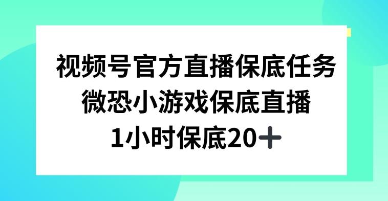 视频号直播任务，微恐小游戏，1小时20+【揭秘】-知芽创业社