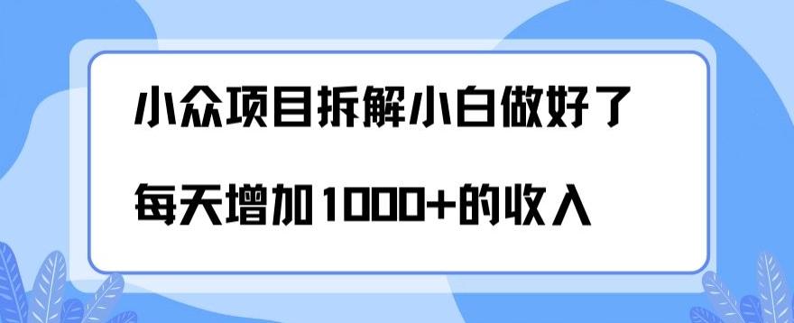 小众项目拆解，小白做好了每天可增加1000多的收入-知芽创业社