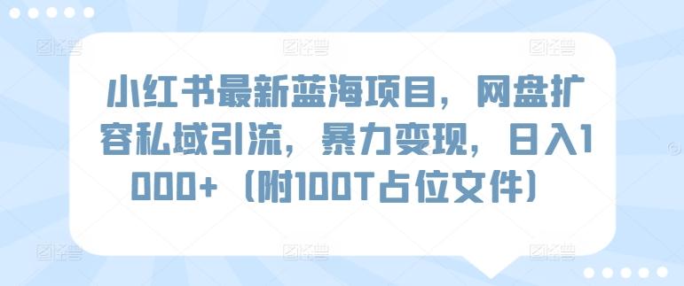 小红书最新蓝海项目,网盘扩容私域引流,暴力变现,日入1000+(附100T占位文件)【揭秘】-知芽创业社