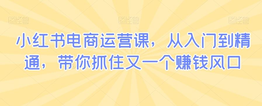 小红书电商运营课，从入门到精通，带你抓住又一个赚钱风口-知芽创业社