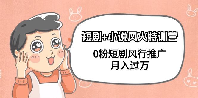 (9374期)短剧+小说风火特训营，0粉短剧风行推广，月入过万(102节课)-知芽创业社