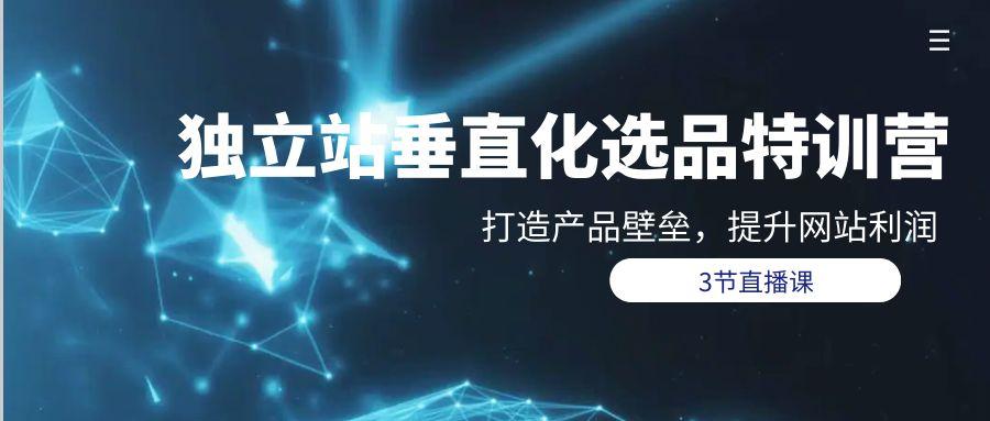 (9925期)独立站-垂直化选品训练营，打造产品壁垒，提升网站利润(3节直播课)-知芽创业社
