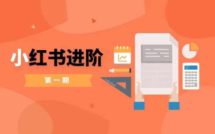 小红书进阶篇，零基础小白实战课，普通人变现的课程-知芽创业社