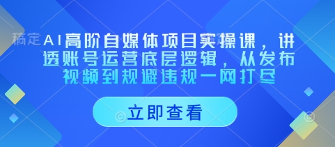 AI高阶自媒体项目实操课,讲透账号运营底层逻辑,从发布视频到规避违规一网打尽-知芽创业社