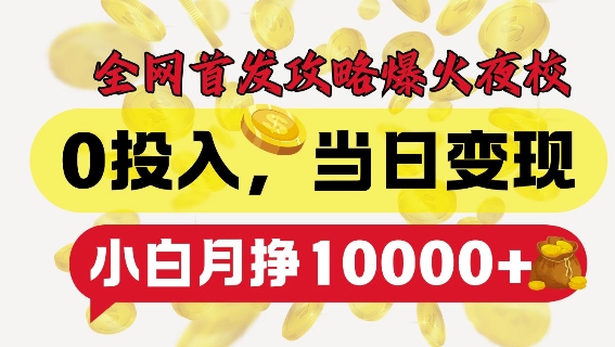 全网首发爆火夜校，0投入，当日变现，小白轻松月入1w+【揭秘】-知芽创业社