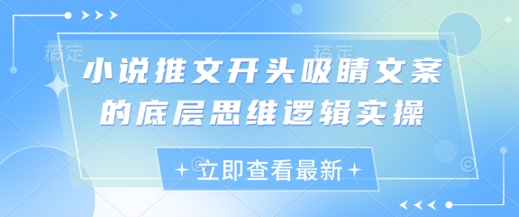 小说推文开头吸睛文案的底层思维逻辑实操-知芽创业社