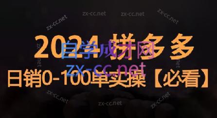 恒哥·2024拼多多日销0-100单实操-知芽创业社