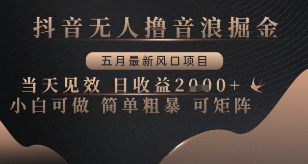 抖音无人撸音浪掘金，五月最新风口项目，当天见效，日收益多张，小白可做简单粗暴可矩阵【揭秘】-知芽创业社