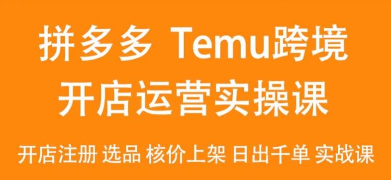2024Temu最新玩法，Temu跨境开店运营实操课，开店注册/选品/核价上架/日出千单实战课-知芽创业社