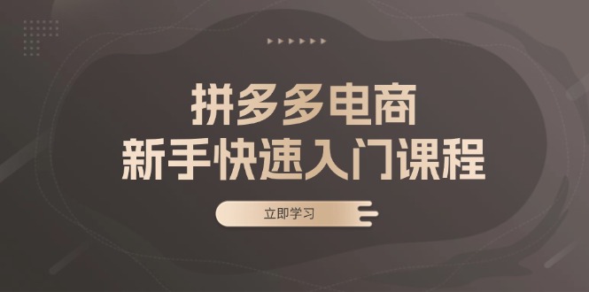 拼多多电商新手快速入门课程：涵盖基础、实战与选款，助力小白轻松上手-知芽创业社
