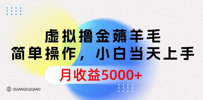(9864期)虚拟撸金薅羊毛，简单操作，小白当天上手，月收益5000+-知芽创业社