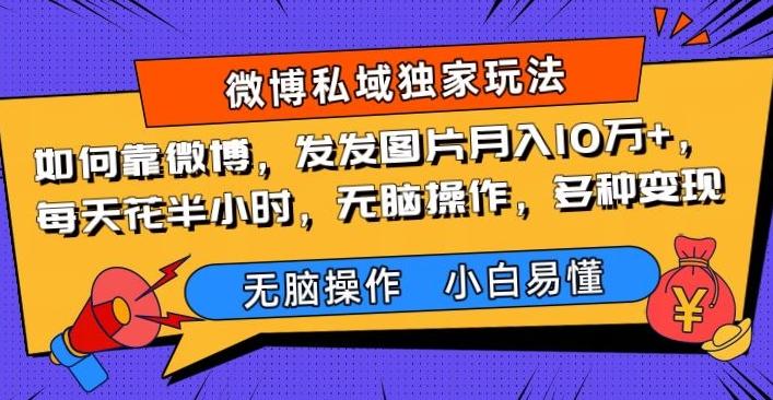 如何靠微博，发发图片月入10万+，‌每天花半小时，无脑操作，多种变现-知芽创业社