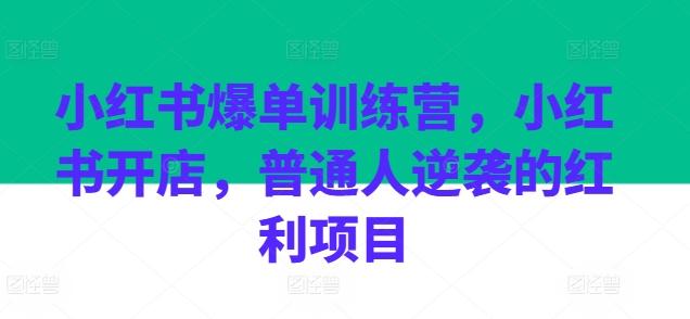 小红书爆单训练营，小红书开店，普通人逆袭的红利项目-知芽创业社