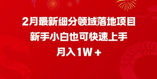 2月最新细分领域落地项目，新手小白也可快速上手，月入1W-知芽创业社