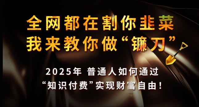 全网都在割你韭菜，我来教你做镰刀，2025年普通人如何通过 知识付费 实现财F自由【揭秘】-知芽创业社