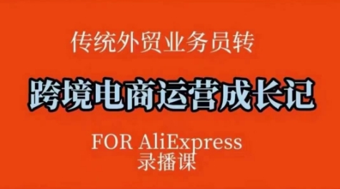 跨境电商速卖通运营课，​运营方法论+后台实操，逻辑清晰-知芽创业社