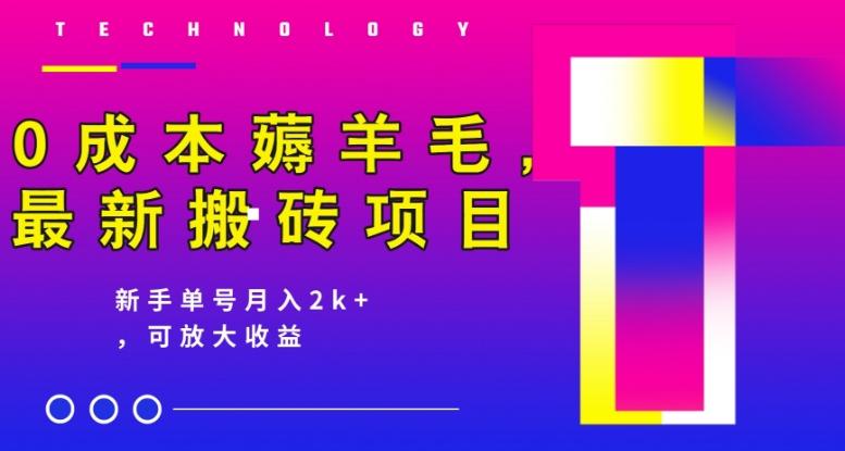 0成本薅羊毛，最新搬砖项目，新手单号月入2k+，可放大操作-知芽创业社