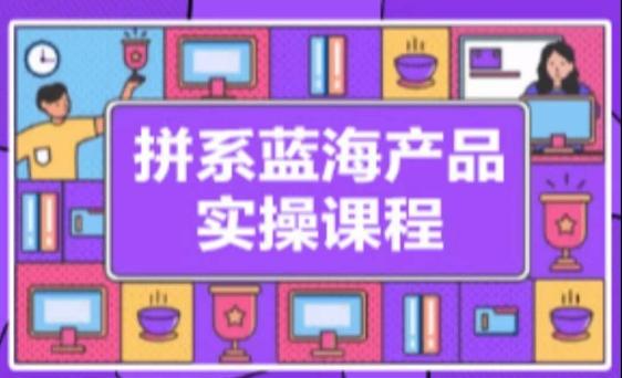 拼系冷门蓝海产品实操课程，从注册店铺到选品上架到流量维护环环相扣-知芽创业社