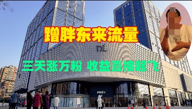 蹭胖东来流量，三天涨万粉，收益直接起飞-知芽创业社
