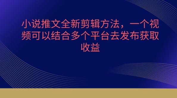 小说推文全新剪辑方法，一个视频可以结合多个平台去发布获取【揭秘】-知芽创业社