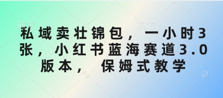 私域卖壮锦包，一小时3张，小红书蓝海赛道3.0版本， 保姆式教学-知芽创业社
