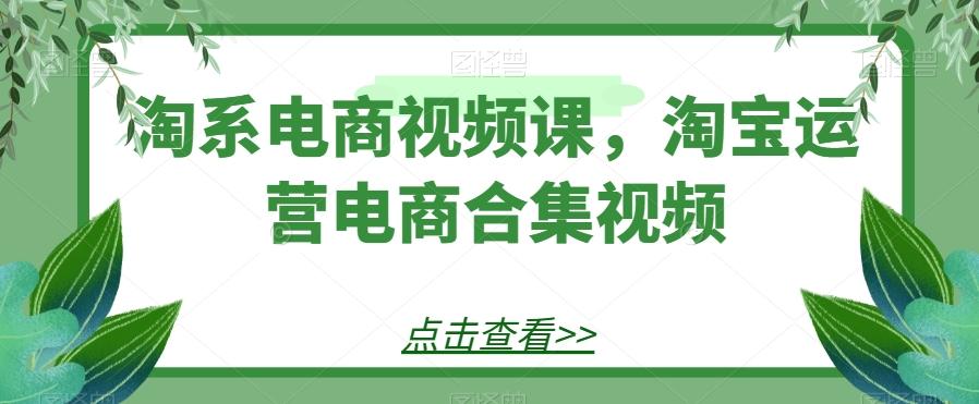 淘系电商视频课，淘宝运营电商合集视频-知芽创业社