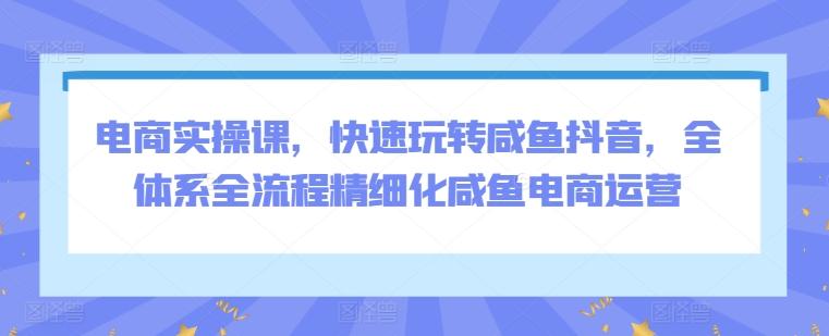 电商实操课,快速玩转咸鱼抖音,全体系全流程精细化咸鱼电商运营-知芽创业社
