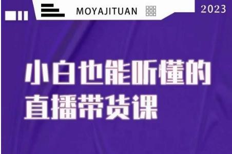大威本威·能听懂的直播带货课，小白也能听懂，20节完整-知芽创业社