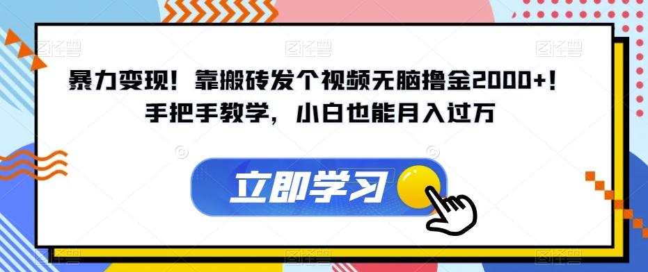 暴力变现！靠搬砖发个视频无脑撸金2000+！手把手教学，小白也能月入过万【揭秘】-知芽创业社