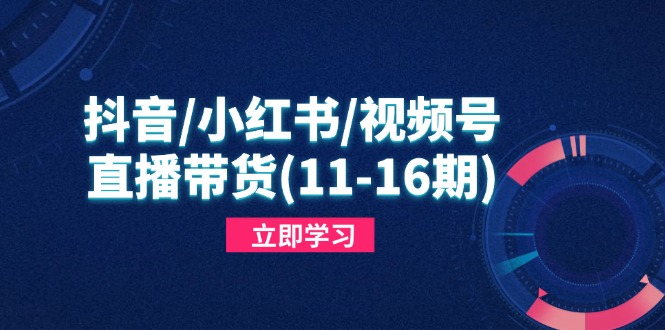 抖音/小红书/视频号/直播带货(11-16期-知芽创业社