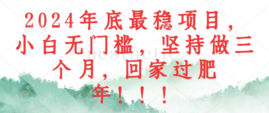 2024年底最稳项目，小白无门槛，坚持做三个月，回家过肥年！！！-知芽创业社