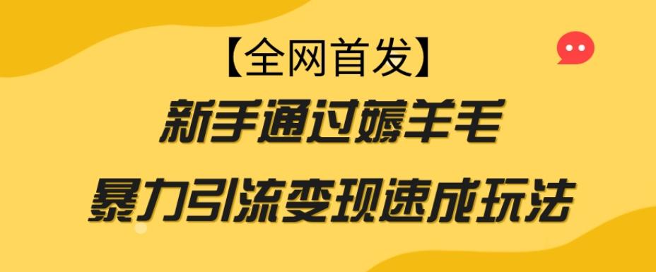 【全网首发】新手通过薅羊毛暴力引流变现速成玩法-知芽创业社